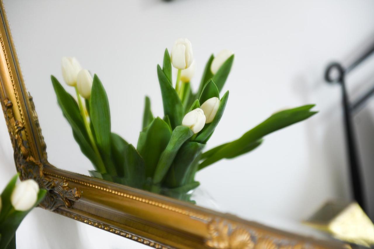 Diana Borik Apartment ซาดาร์ ภายนอก รูปภาพ